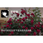 微信状态视频能发多长时间的