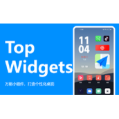 Top Widgets网页版入口