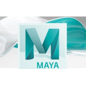 maya软件怎么读