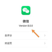 微信好友状态查看方法