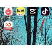 抖音有没有访客记录详情介绍