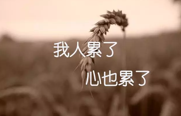 在这里插入图片描述 Android Framework原理解决大龄程序员的催命符_开发者