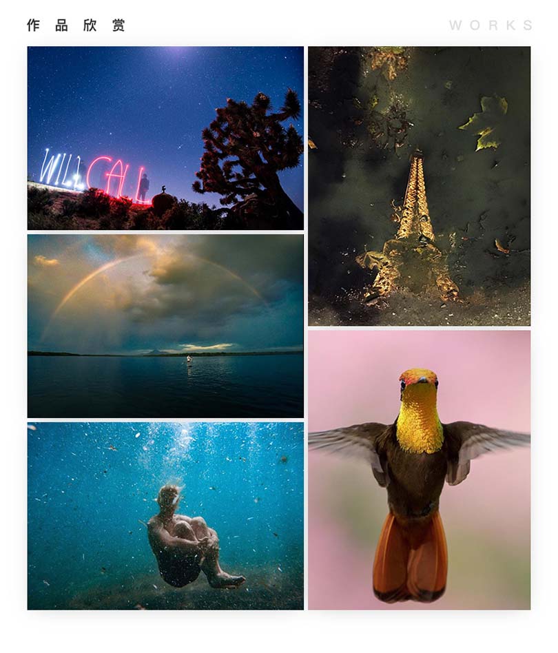 零基础拍出大片教程介绍作品