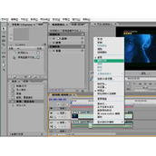 premiere视频怎么消音