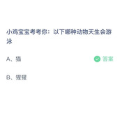 小鸡宝宝考考你以下哪种动物天生会游泳？10月14日答案分享