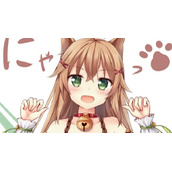 次元喵网络异常怎么解决
