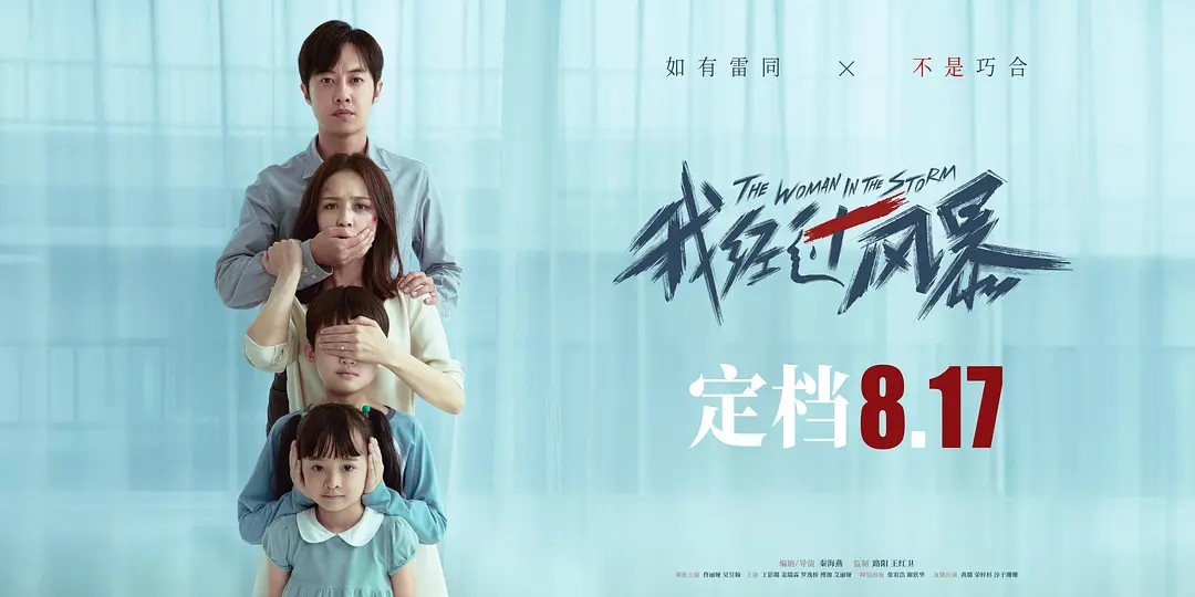 我经过风暴(2023)[高清1080P][正式版][佟丽娅高分电影]阿里云盘