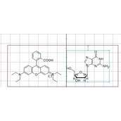 chemdraw导出图片方法