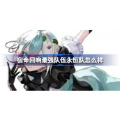 宿命回响最强队伍永恒队编排