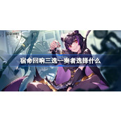宿命回响三选一奏者角色选择推荐