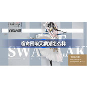 宿命回响天鹅湖角色介绍