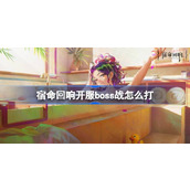 宿命回响开服boss战打法
