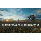 《绝地求生》战术手套有哪些？PUBG战术手套图鉴大全