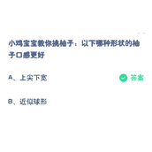 小鸡宝宝教你挑柚子以下哪种形状的柚子口感更好？支付宝蚂蚁庄园2023年11月9日答案更新