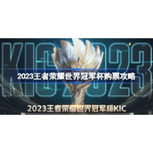 2023年王者荣耀世界冠军杯购票攻略