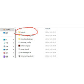 致命公司多人联机mod安装方法介绍