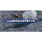 pubg狗熊杀职业选手事件介绍