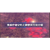 荒原疗者记忆之种使用方法介绍