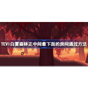 TEVI白雾森林正中间最下面的房间通过方法