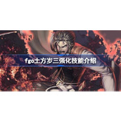 fgo土方岁三强化技能介绍