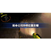 致命公司存档位置与备份教程