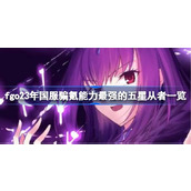 fgo23年国服骗氪能力最强的五星从者有哪些