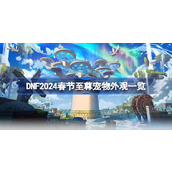 DNF2024春节至尊宠物怎么样