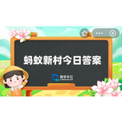 以下哪一项民间艺术是皖北三绝之一