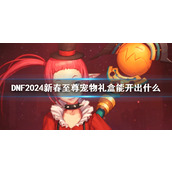 《DNF》2024新春至尊宠物礼盒一览