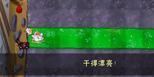PvZ西游随机版游戏特色