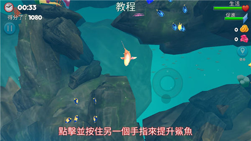 双头鲨国际服技巧心得