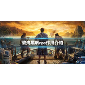 《碧海黑帆》npc作用介绍