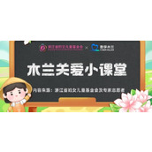 泉城二怪是茶汤和甜沫吗 蚂蚁新村泉城二怪3.4