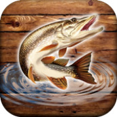 鱼雨钓鱼模拟器游戏下载