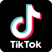 抖音国际版tiktok