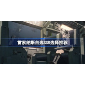 雷索纳斯自选SSR选择推荐