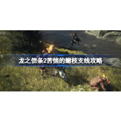龙之信条2苦恼的嫩枝任务怎么做