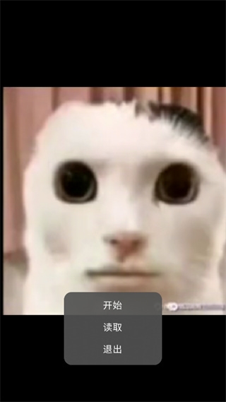 猫猫惊魂2