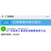 《广东税务》查询社保缴费信息方法