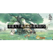 《寻道大千》最终减伤速堆技巧