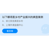 以下哪项是乡村产业振兴的典型案例
