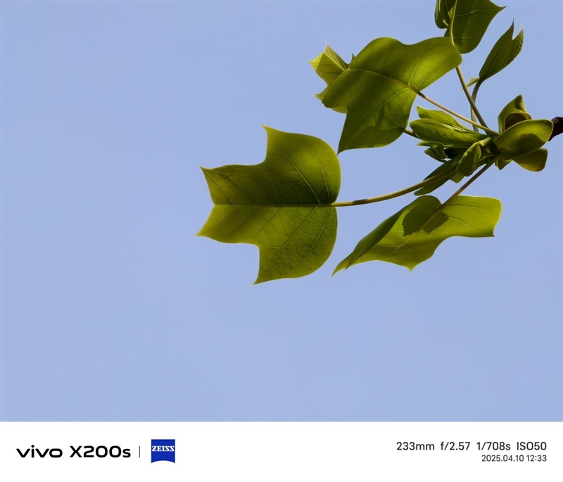 果味十足的vivo手机！vivo X200s全面评测：最强“苹替”的安卓标准旗舰