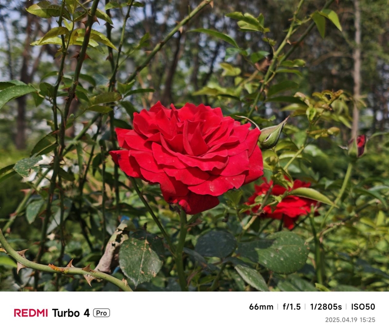 第四代骁龙8s+7550mAh巨无霸电池！REDMI Turbo 4 Pro评测：这才是2.5K档准旗舰