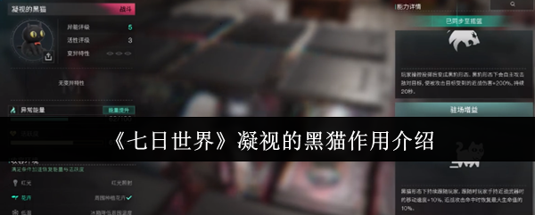 《七日世界》凝视的黑猫作用介绍