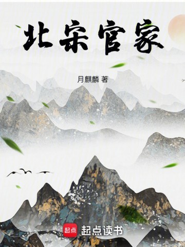 《北宋官家》（校对版全本）作者：月麒麟