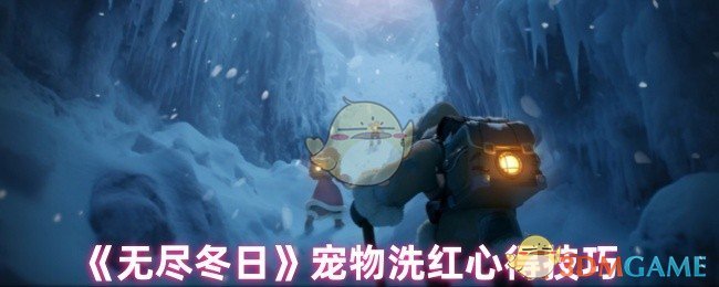 《无尽冬日》宠物洗红心得技巧