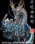 盘龙TXT全集下载