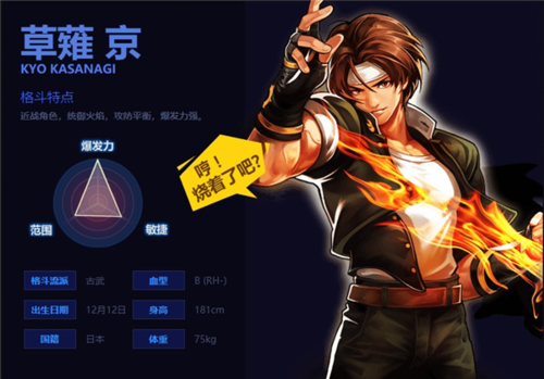 拳皇97风云再起屠蛇版