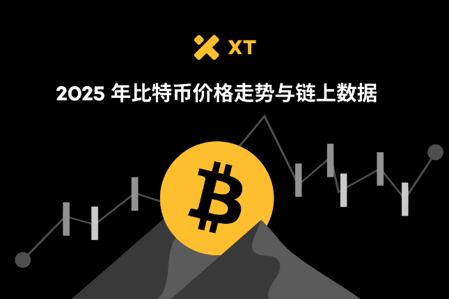 2025比特币牛市密码 链上供需、交易活跃度与质押回报揭秘