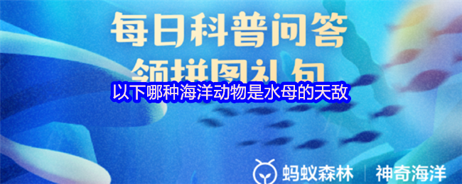 以下哪种海洋动物是水母的天敌